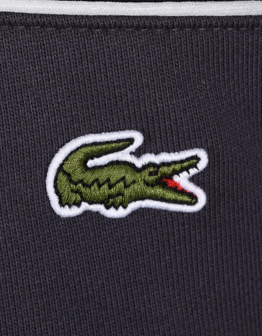 LACOSTE CREWNECK SWEATSHIRT BLACKBIRD/GRAPE