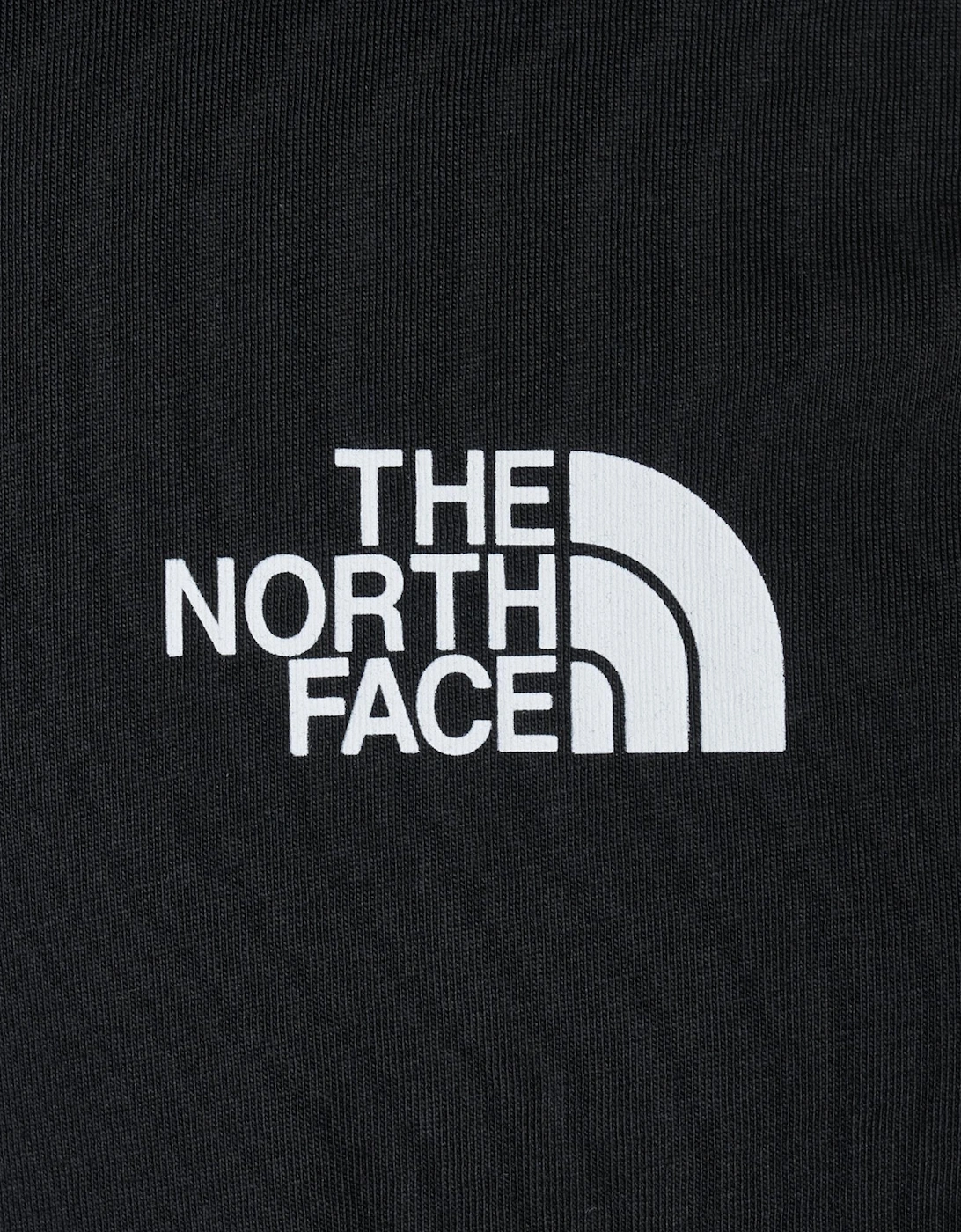 The North Face Mens T Shirt Mountain Front Short Sleeve Graphic Print Cotton Tee