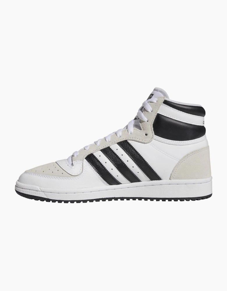 Top Ten Hi Top Canvas Sneakers