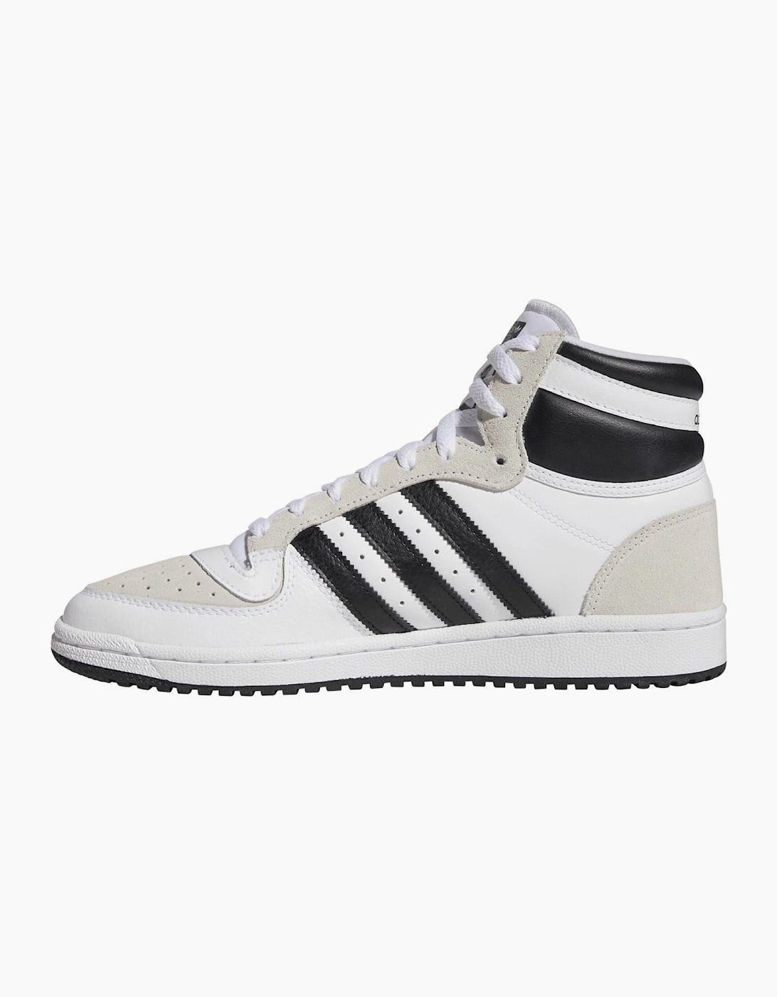 Top Ten Hi Top Canvas Sneakers