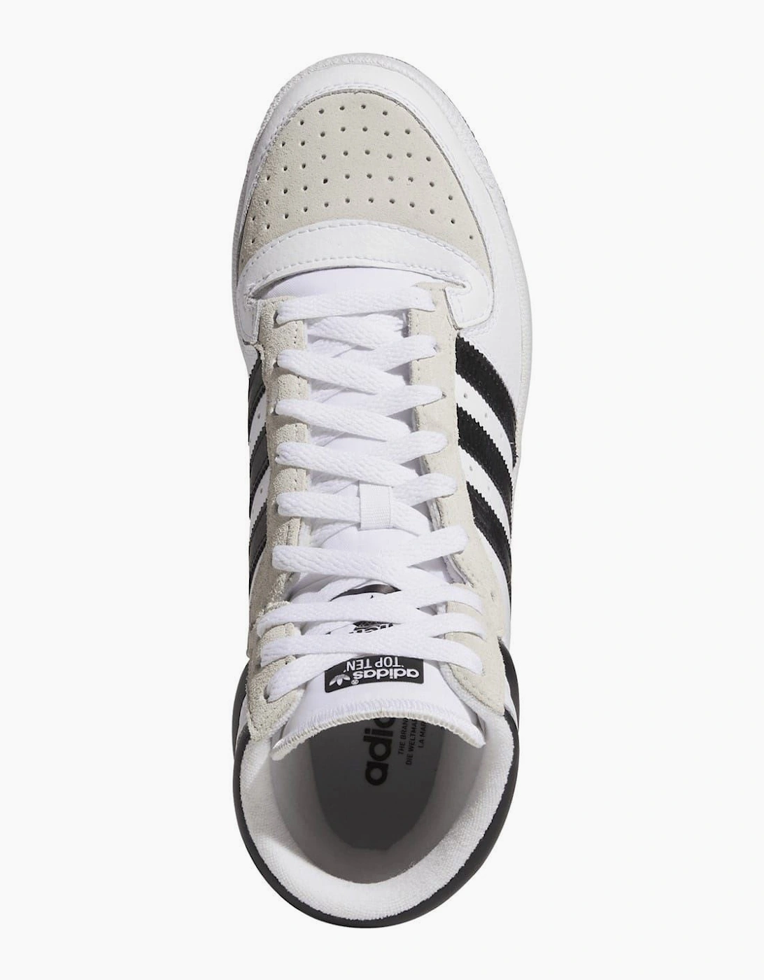 Top Ten Hi Top Canvas Sneakers