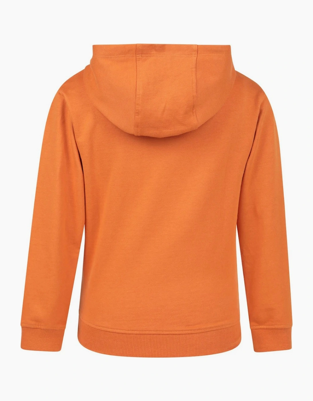 Mountain Warehouse Childrens/Kids Explore Graphic Hoodie