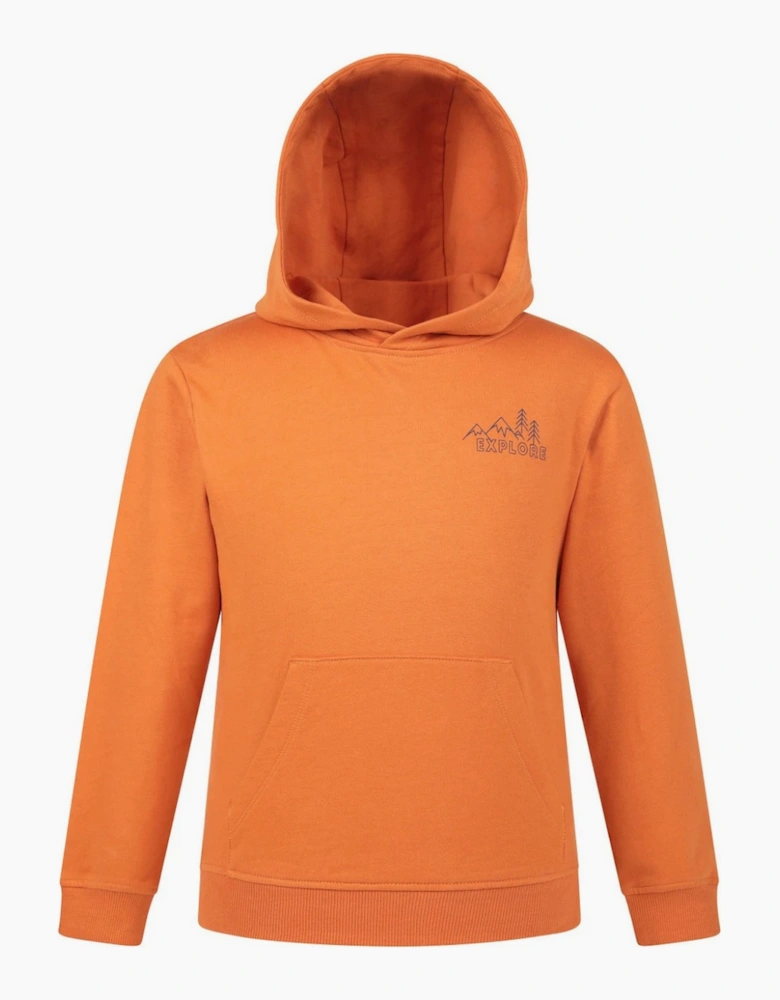 Mountain Warehouse Childrens/Kids Explore Graphic Hoodie