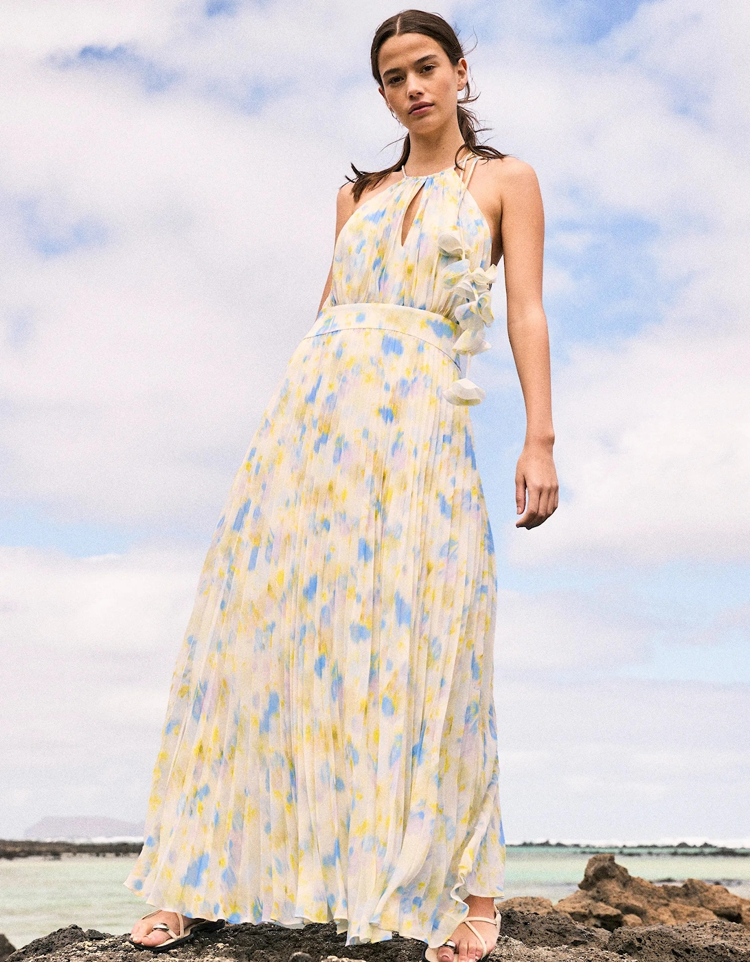 Ro&Zo Women's Multi Petite Allegra Watercolour Floral Pleated Maxi Dress - Size 10