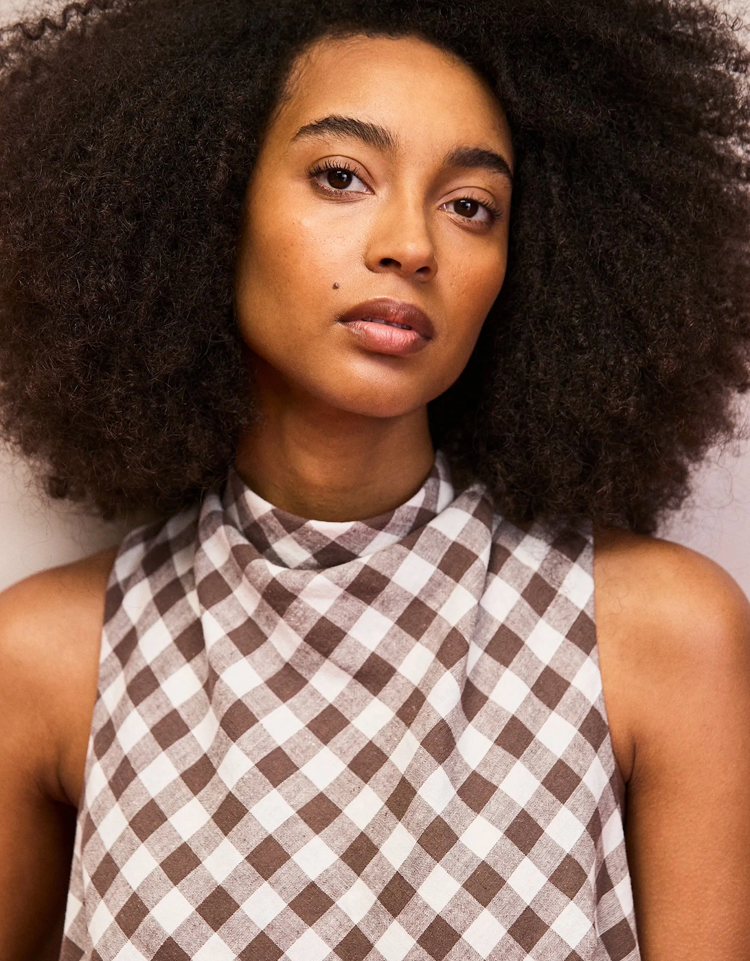 Petite Brown Gingham Linen Blend Cowl Neck Dress