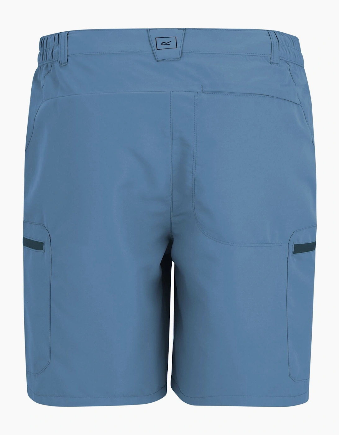 Regatta Mens Leesville III Shorts