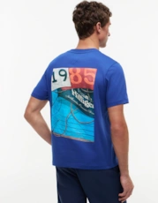 Pigment Blue