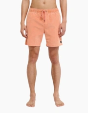 Tawny Orange
