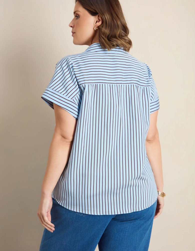 Blue And Chocolate Stripe Short Sleeve Shirt