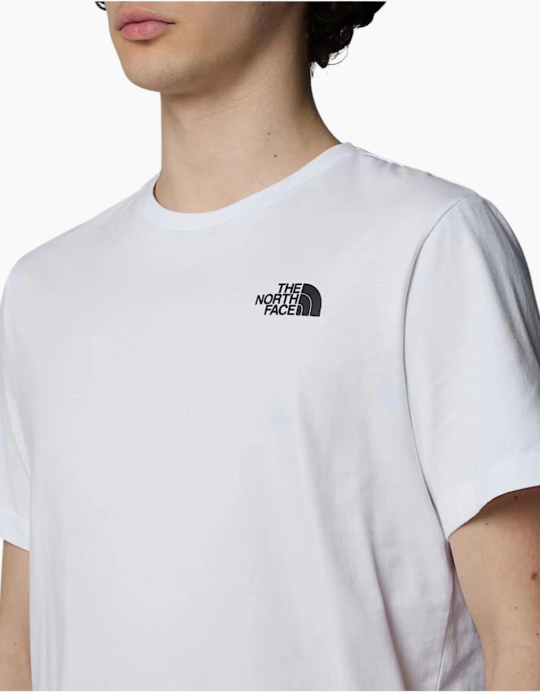 The North Face Men T Shirts Box NSE Celebration Crew Neck Graphic Print Summer Tee
