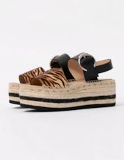 Tigre/Black