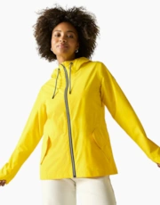 Spring Yellow