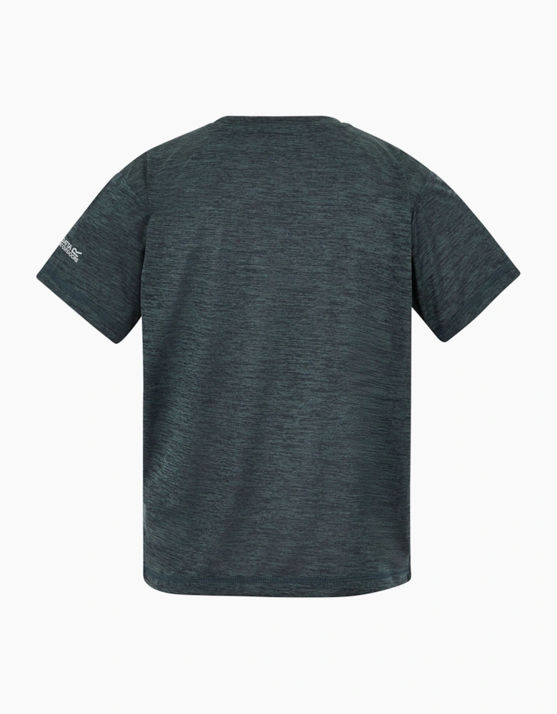 Regatta Childrens/Kids Alvarado Back Print T-Shirt