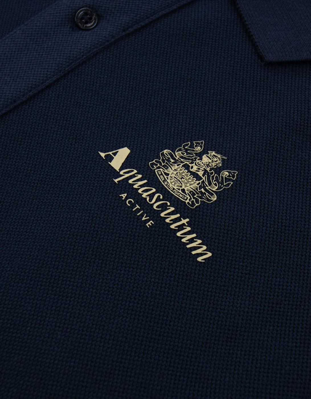 Aquascutum Stripes Piquet L/s Polo Navy 11