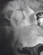 Thumbnail 2 of 2