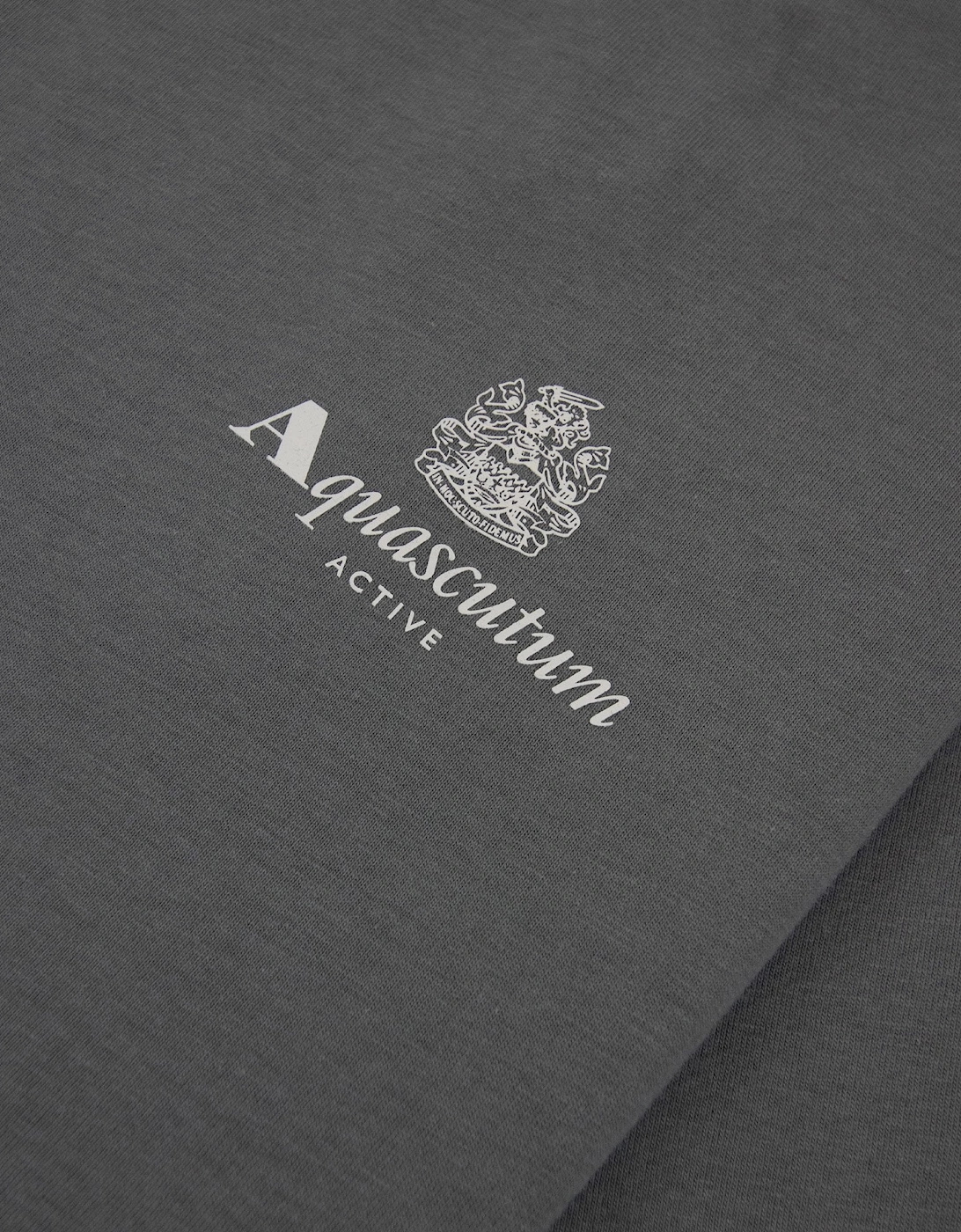 Aquascutum Active Small Logo T Shirt Charcoal