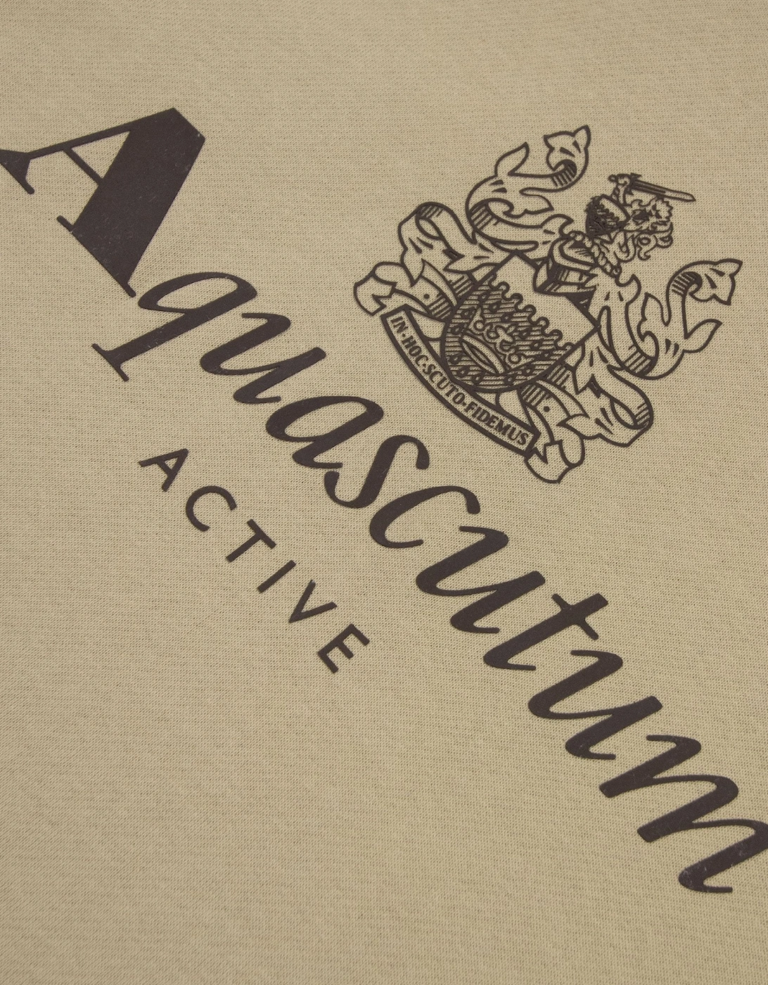 Aquascutum Active Big Logo Hoodie Beige