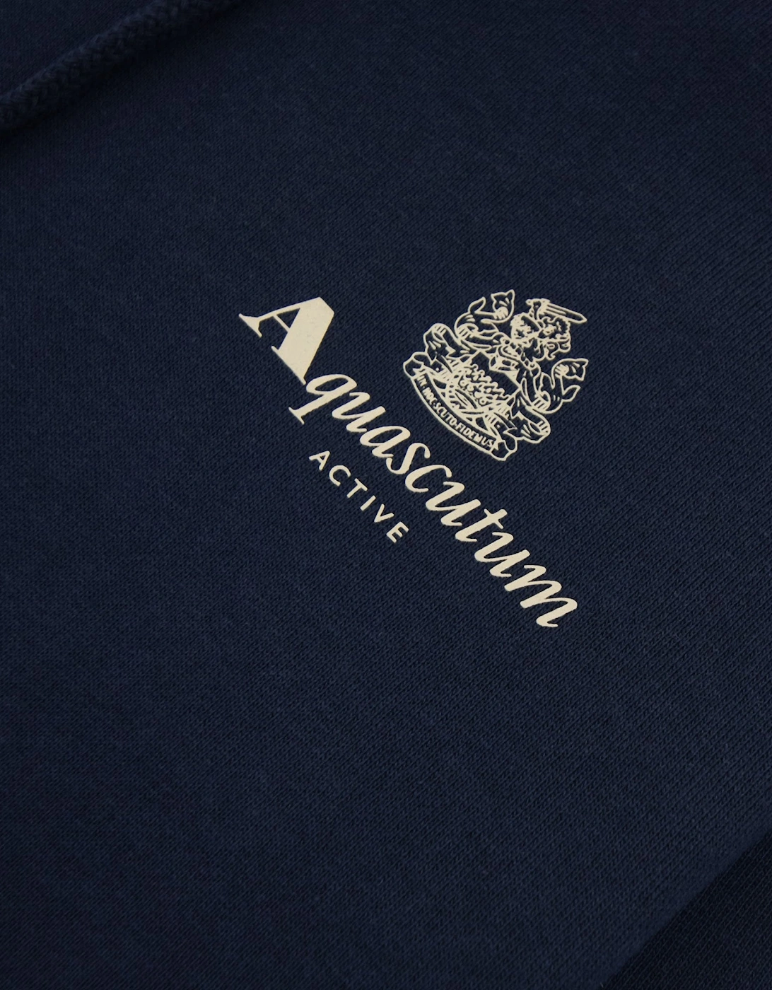 Aquascutum Active Small Logo Hoodie Navy