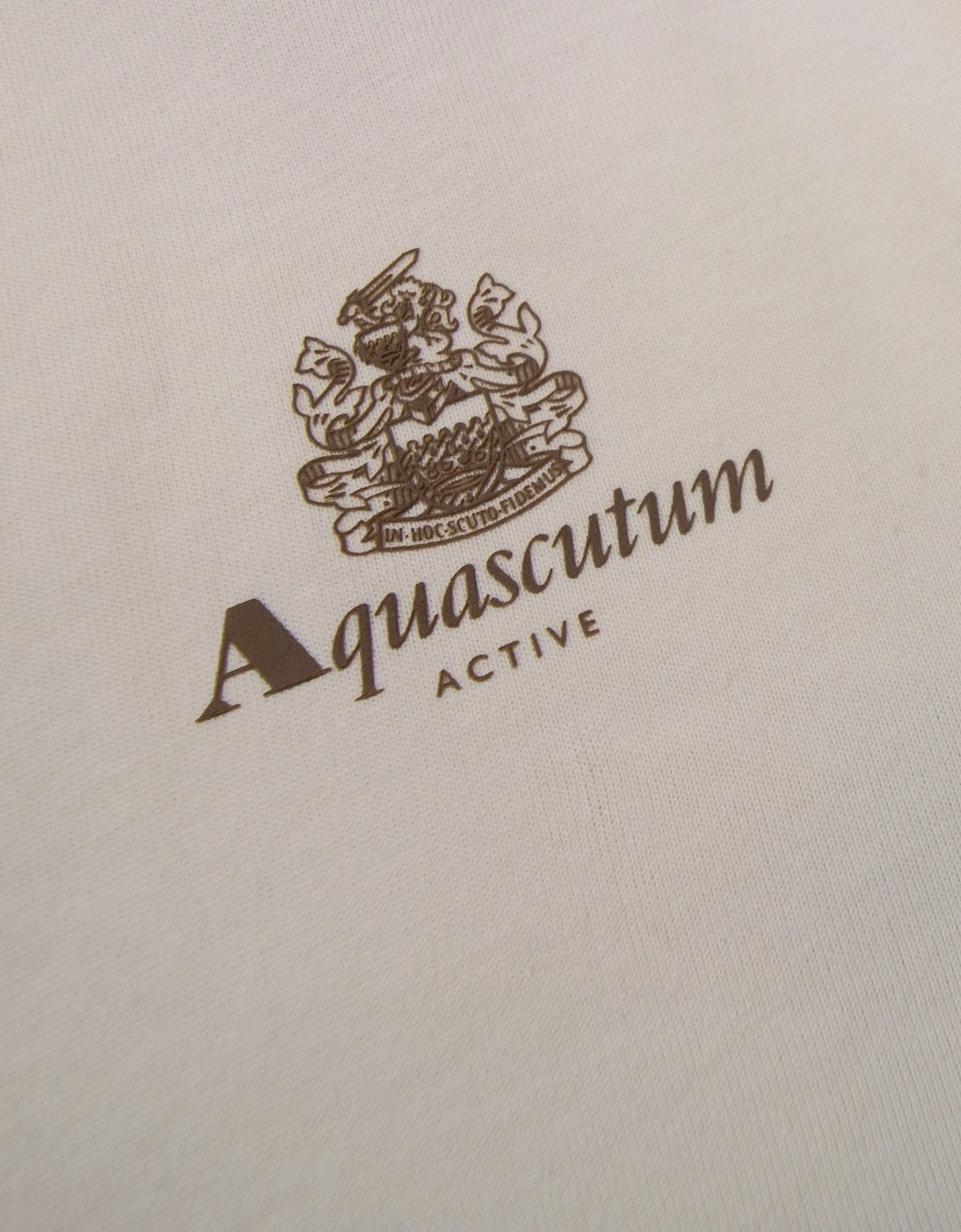 Aquascutum Active Small Logo T Shirt Old White