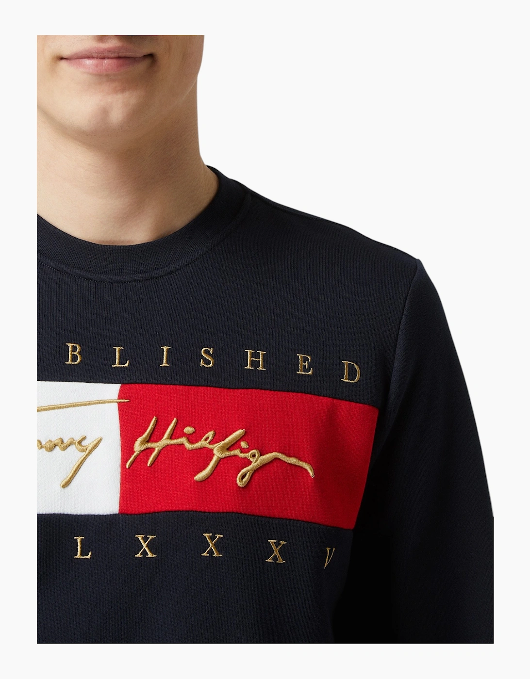 TOMMY HILFIGER Mens Sweatshirts Signature Flag Fleece Pullover Crew Neck Jumper