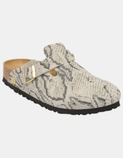 Snake Oyster