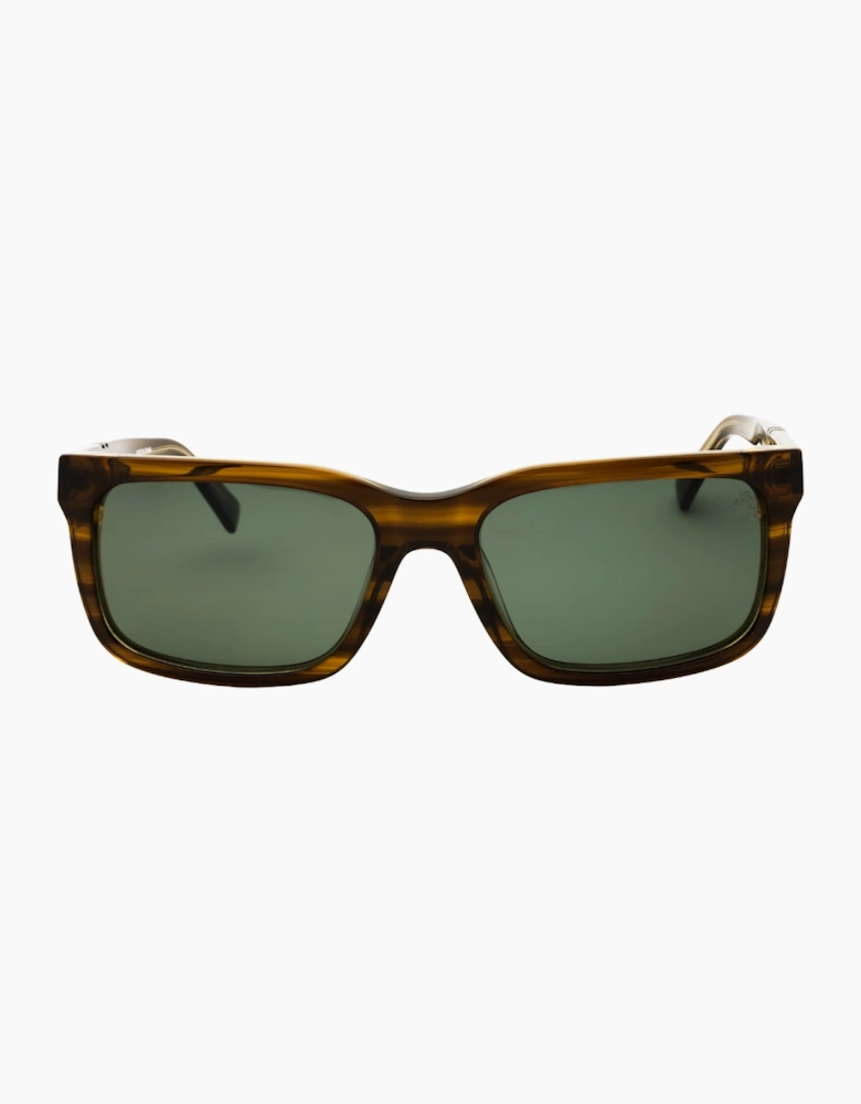 Timberland Shiny Light Green Havana Polarised Sunglasses