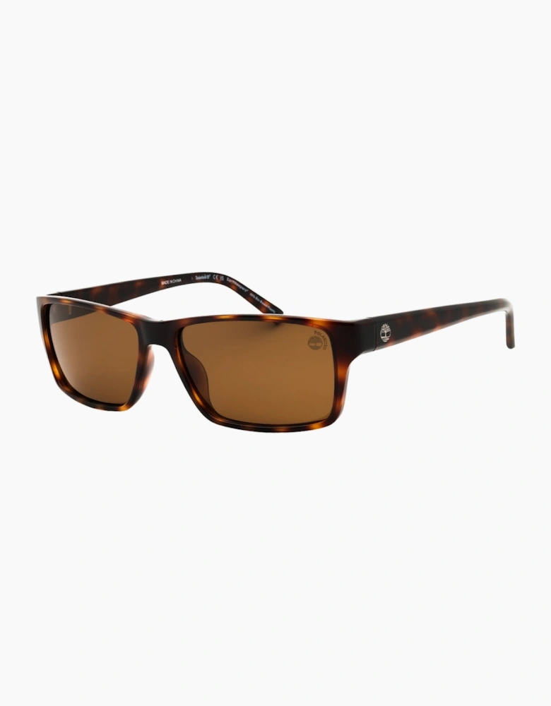 Timberland Dark Havana Brown Polarized Sunglasses