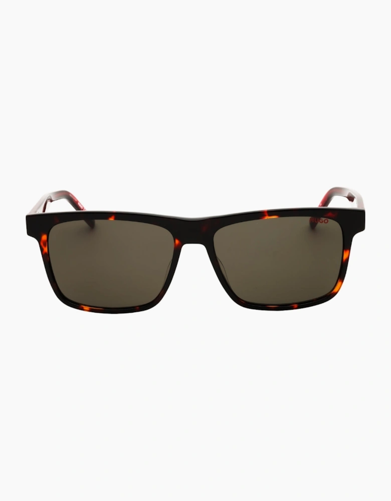 Hugo Havana Red Framed Sunglasses