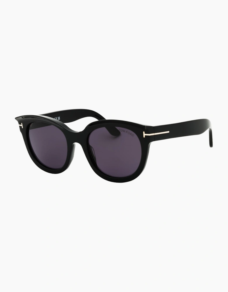 Tom Ford Shiny Black Frame Smoke Lens Sunglasses