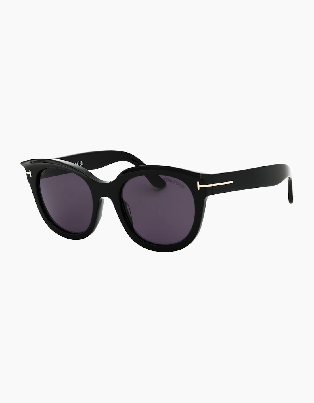 Tom Ford Shiny Black Frame Smoke Lens Sunglasses
