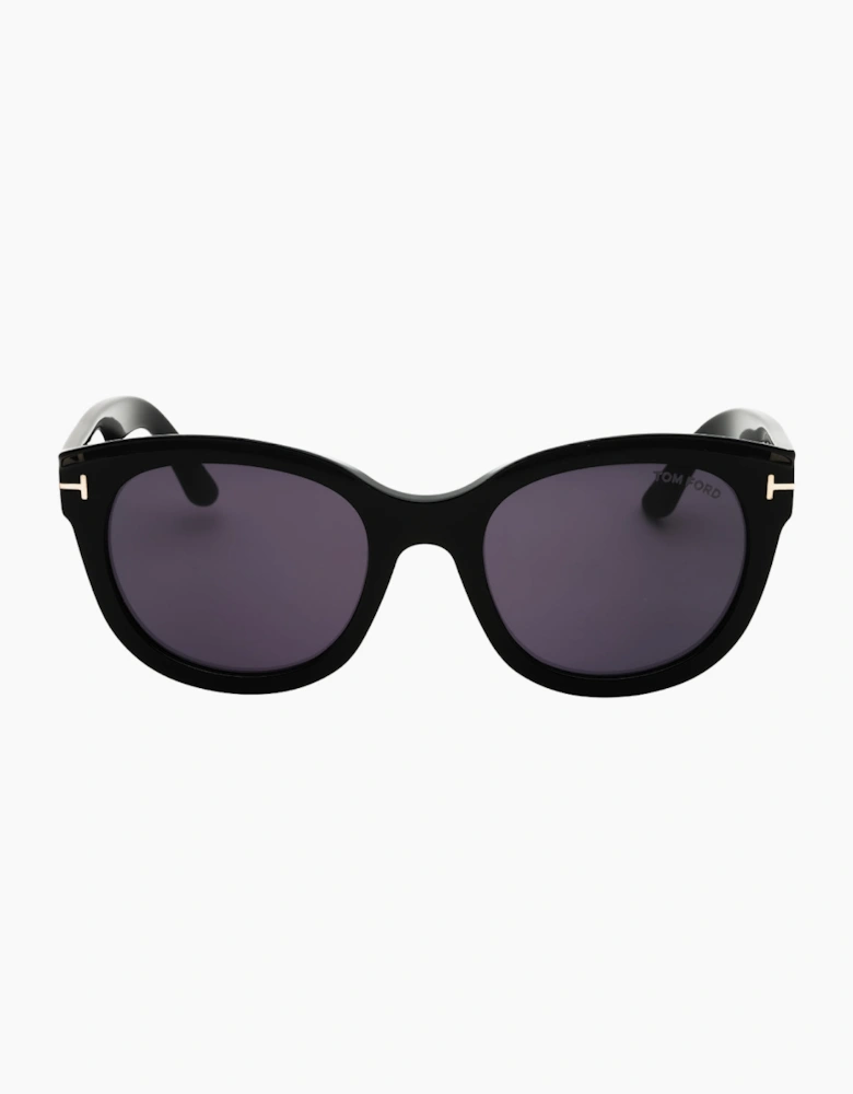 Tom Ford Shiny Black Frame Smoke Lens Sunglasses