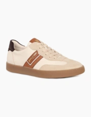 172 Cream Sde/ Biscu