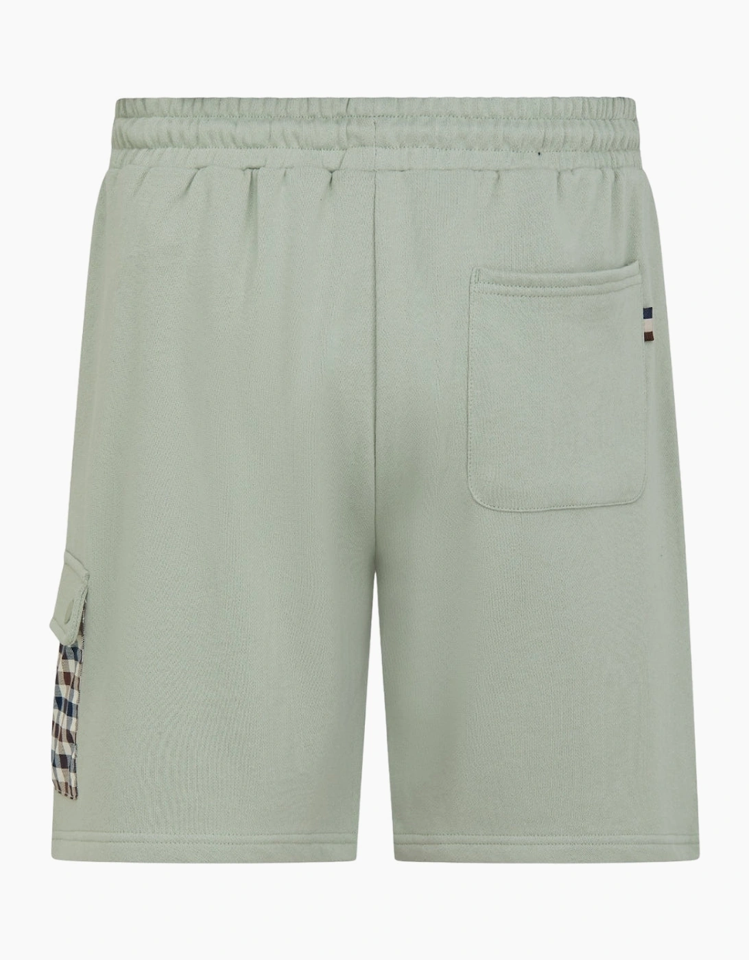 Aquascutum Active Lamina Pocket Salvia Light Green Shorts