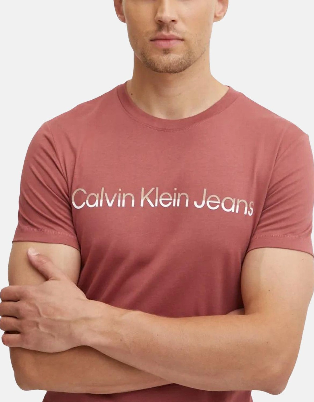 CALVIN KLEIN MIXED INSTITUTIONAL T-SHIRT APPLE BUTTER