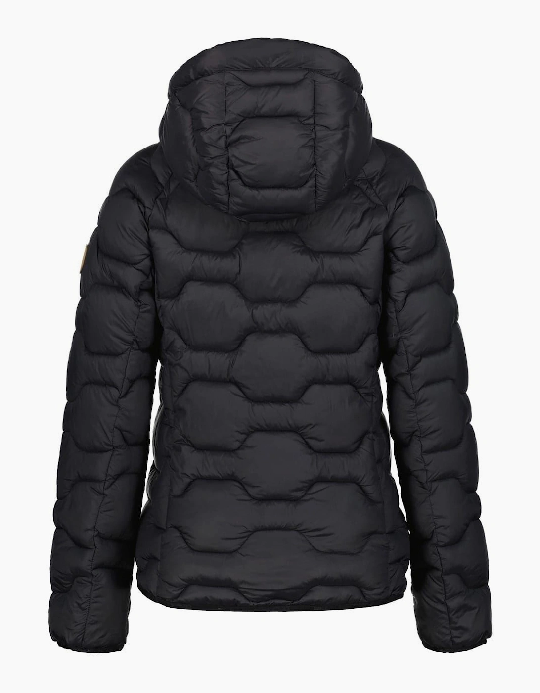Solid Patterned Hooded Zipped Pocket Puffer Jacket
