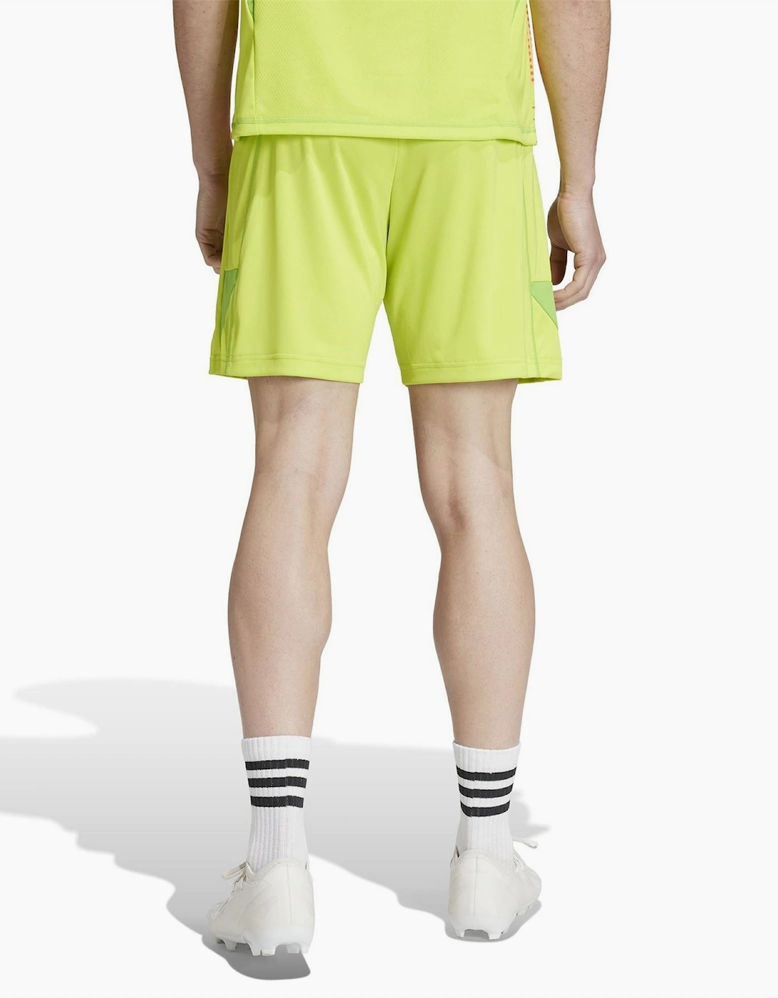 Arsenal Goalkeeper Shorts 2024 2025 Adults
