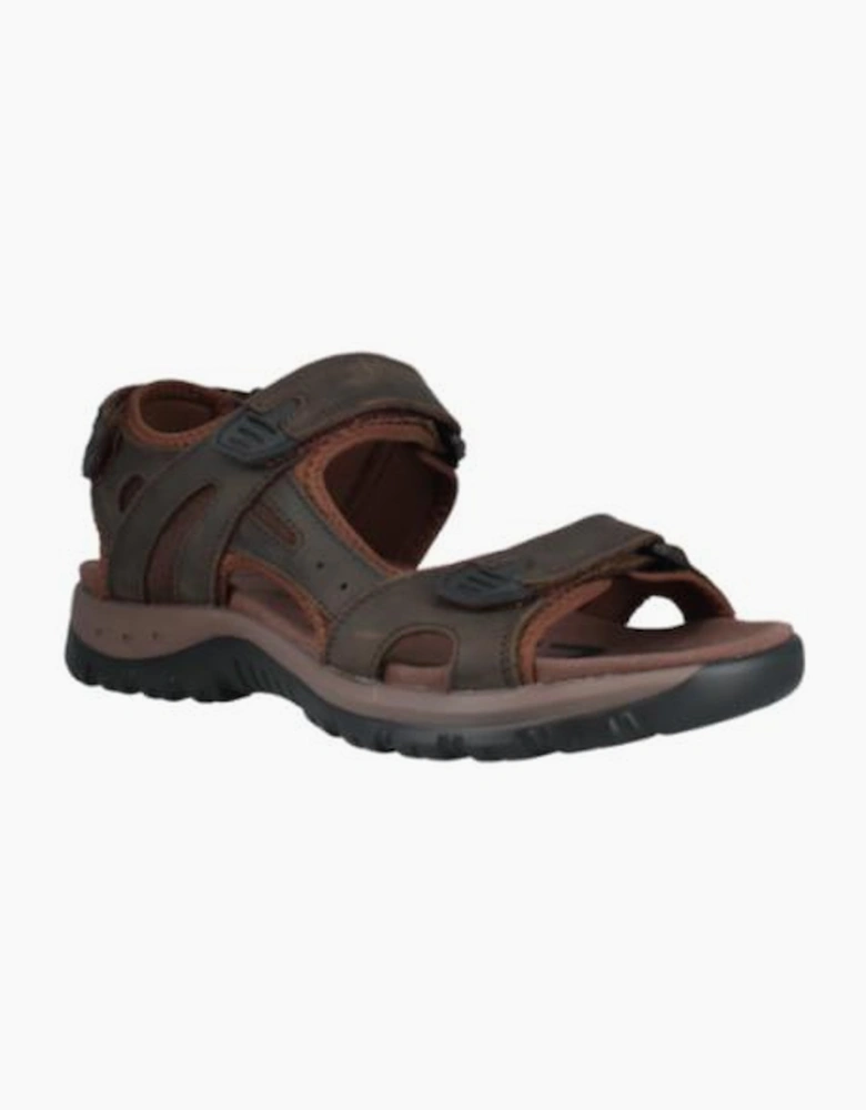 Josef Seibel 253316 Bart 06 in Brown