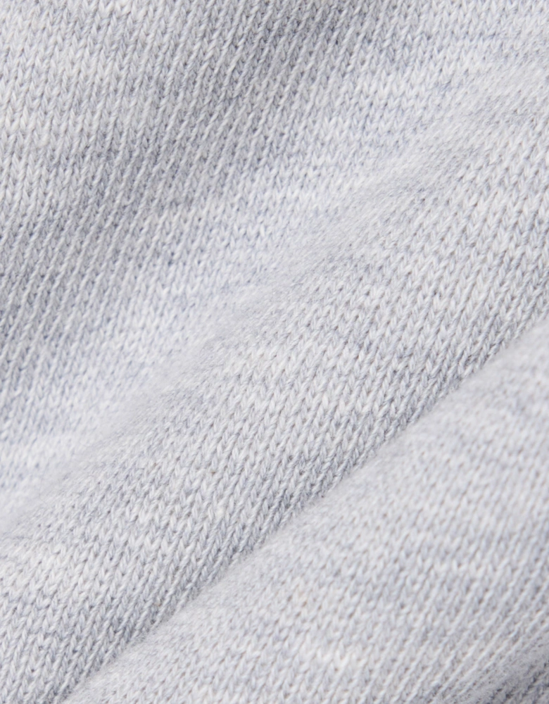 Lacoste Regular Fit Mens Fleece Shorts - Silver Chine CCA