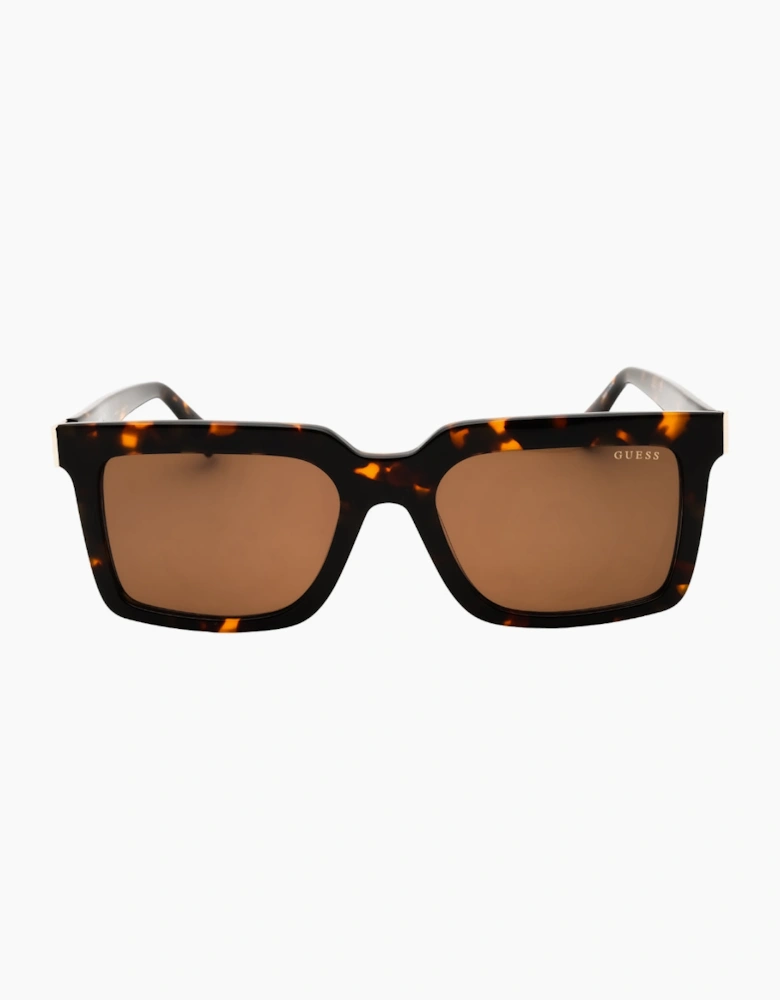 Guess Dark Havana Brown Sunglasses