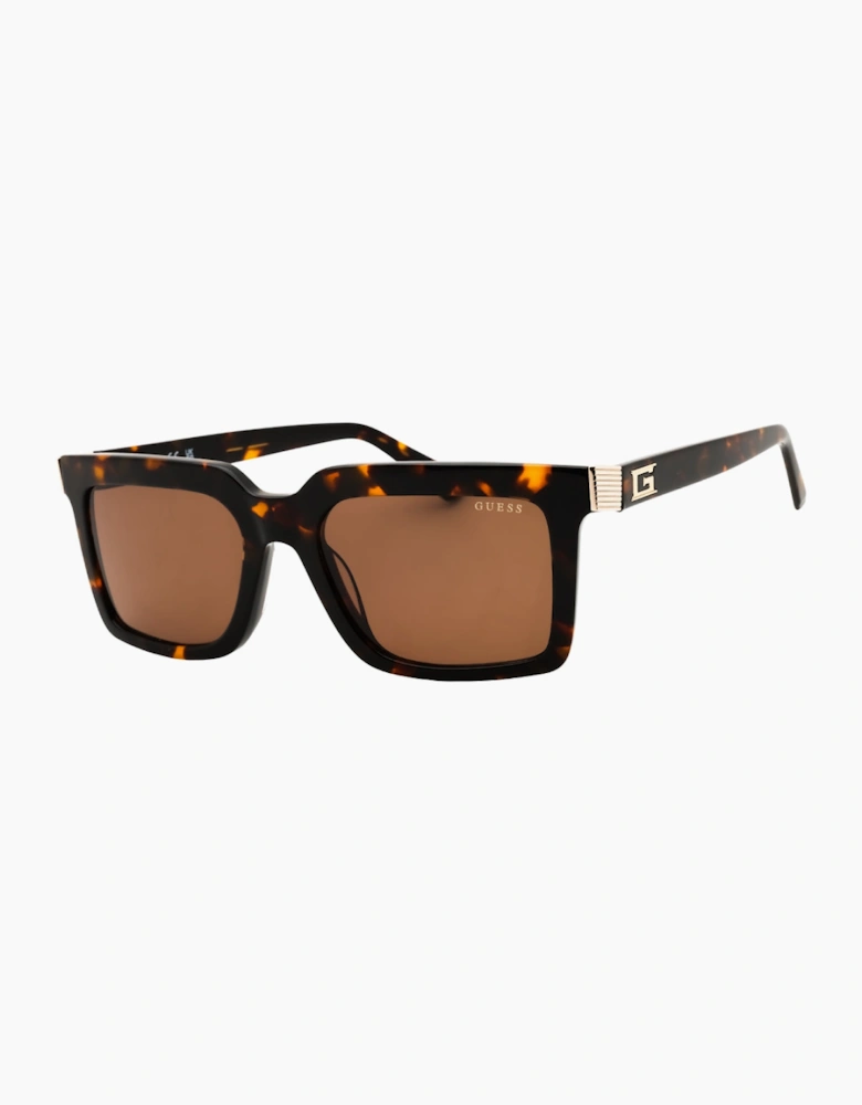 Guess Dark Havana Brown Sunglasses