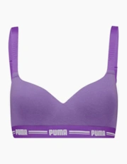 Astor Purple