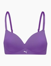 Astor Purple
