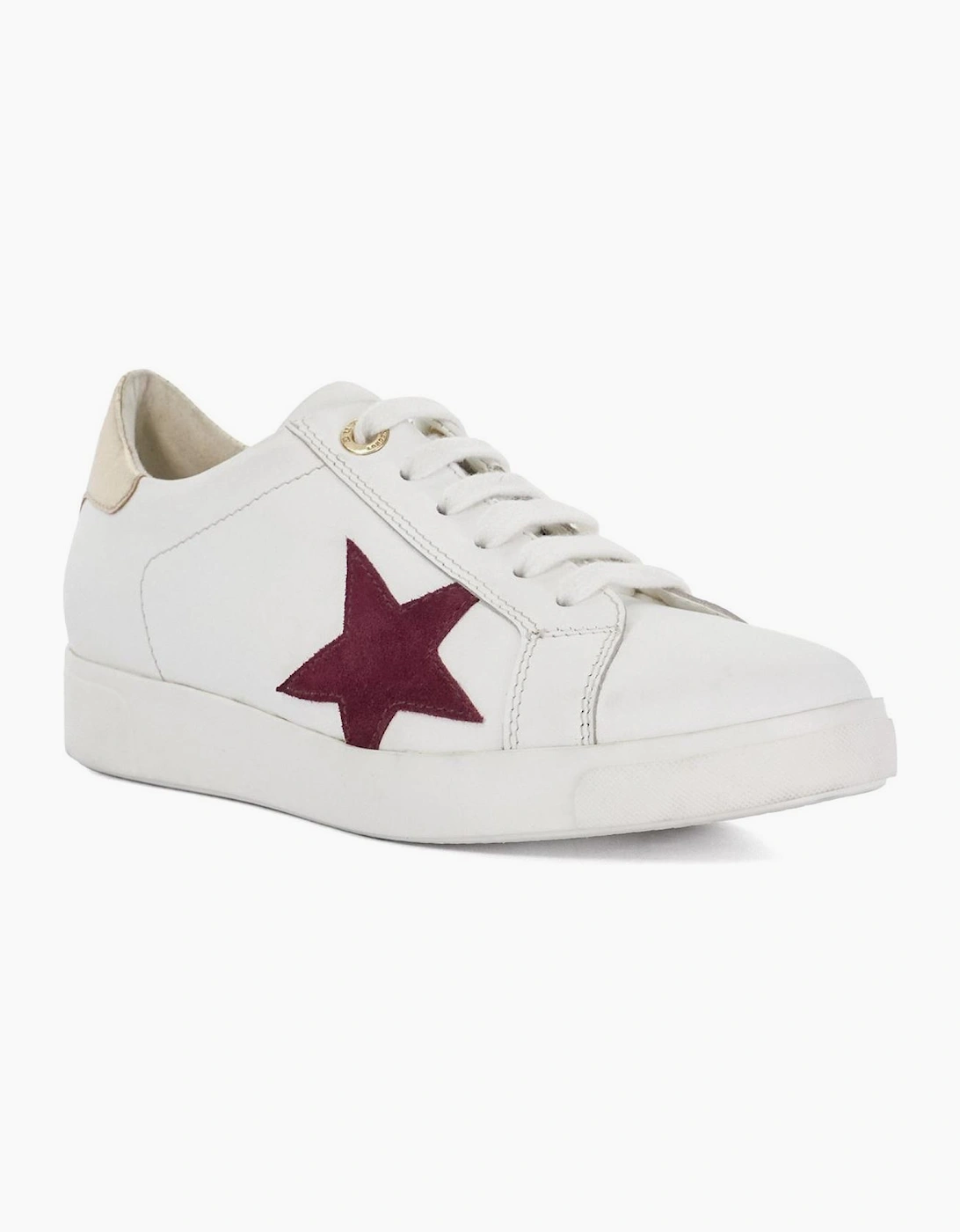 Lo Edriss Star Lace Up Canvas Low Top Sneakers