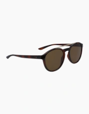Tortoise/Brown