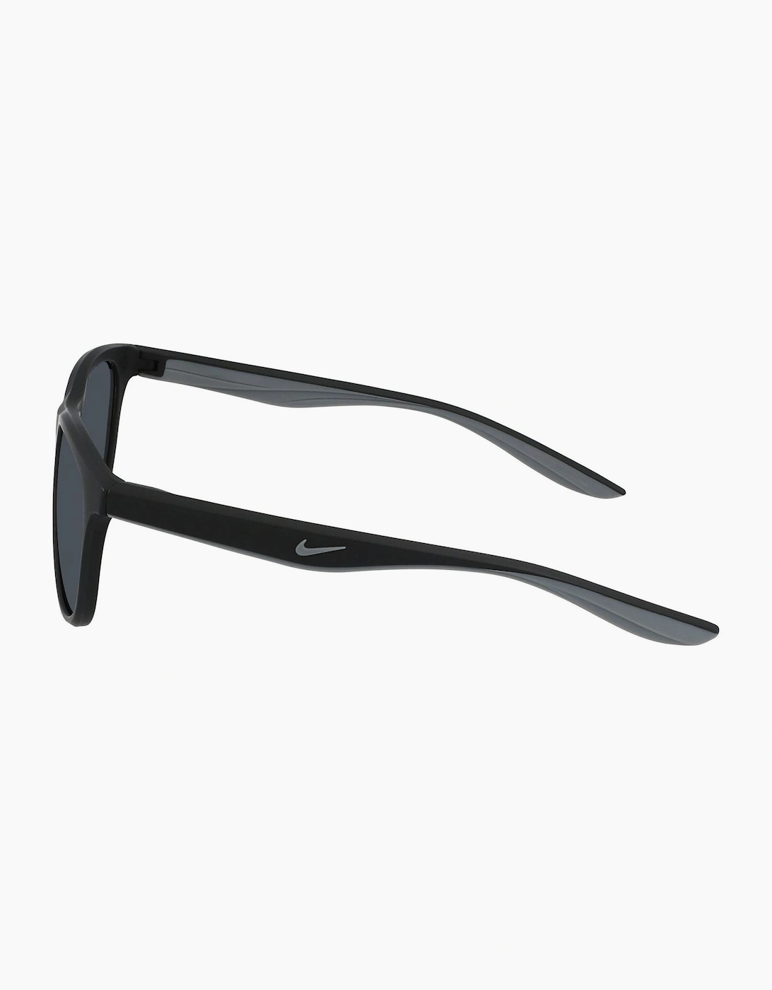 Wayfarer Sunglasses