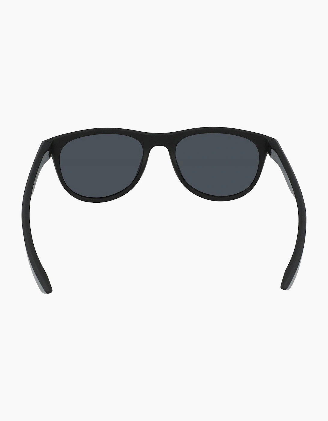 Wayfarer Sunglasses