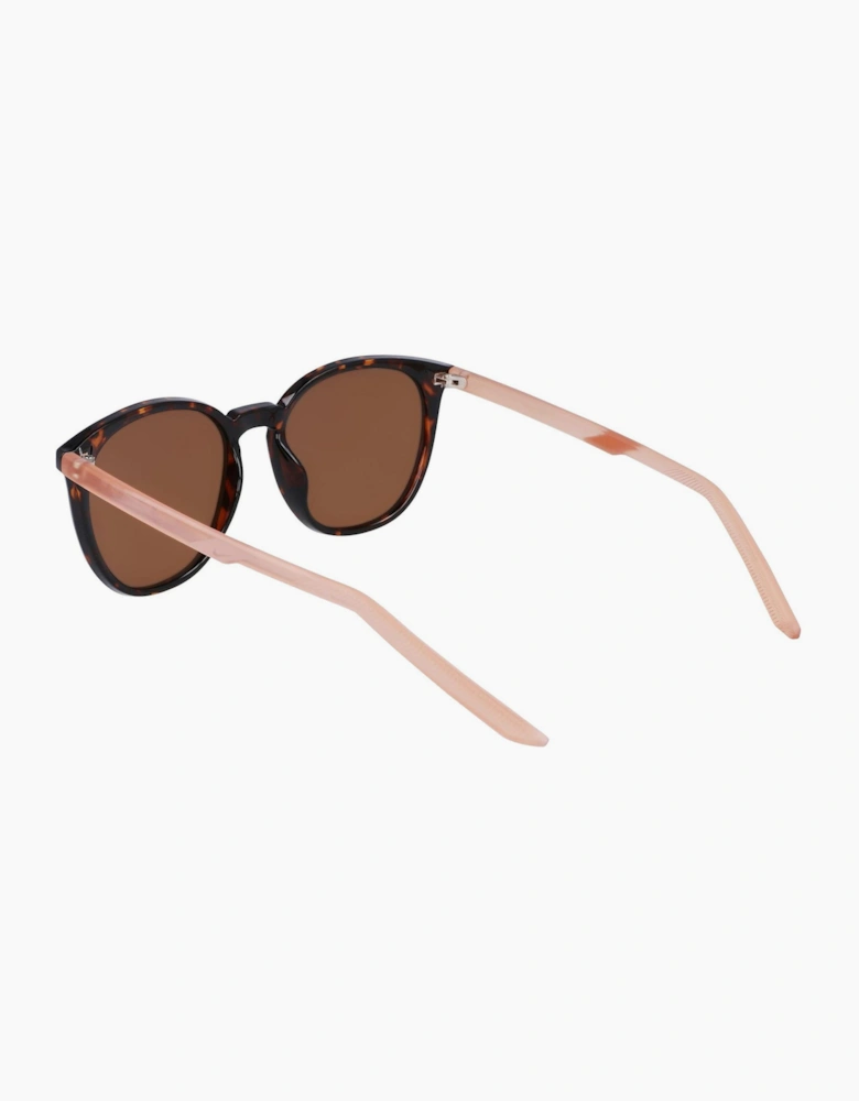 Wayfarer Sunglasses