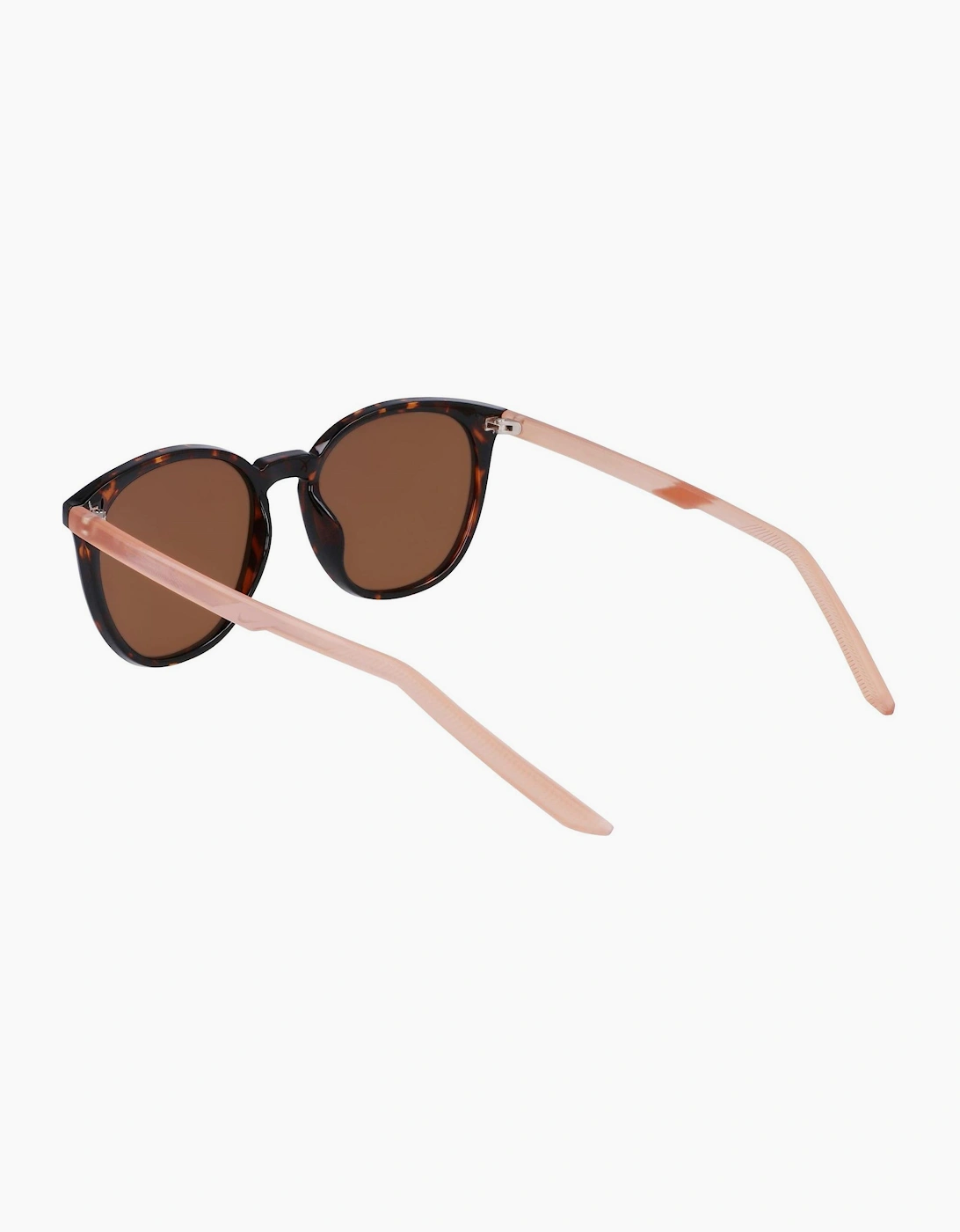 Wayfarer Sunglasses