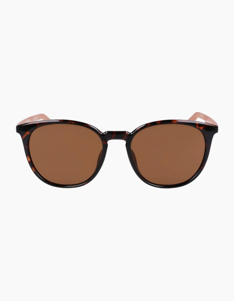 Wayfarer Sunglasses