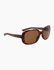 Tortoise/Brown